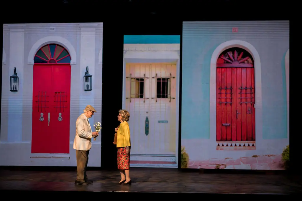 Elsa & Fred theater production 3